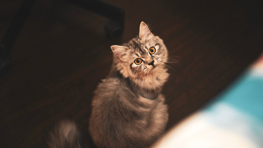 1717579 (a): :3840x2160